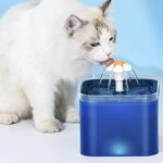 FUENTE PARA GATO